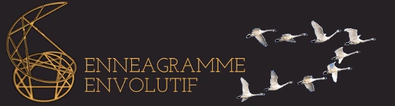 L'ennéagramme envolutif