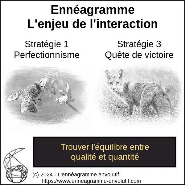 Interaction ennéagramme entre 3 et 1