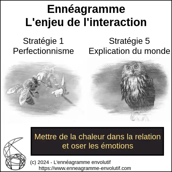 Interaction ennéagramme entre 5 et 1