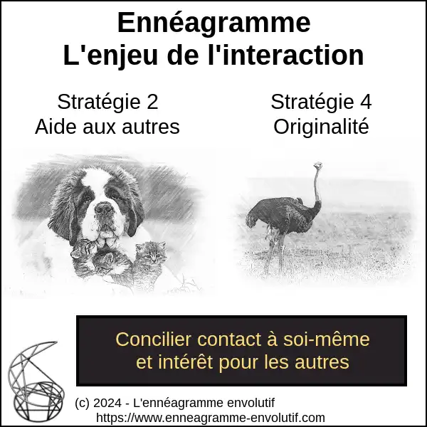 Interaction ennéagramme entre 4 et 2