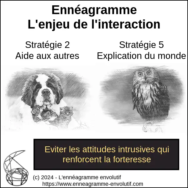 Interaction ennéagramme entre 5 et 2
