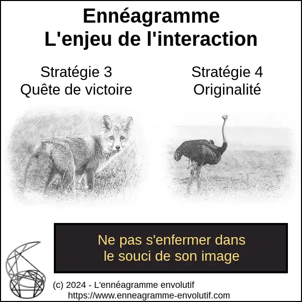 Interaction ennéagramme entre 4 et 3