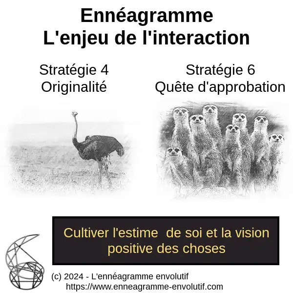 Interaction ennéagramme entre 6 et 4