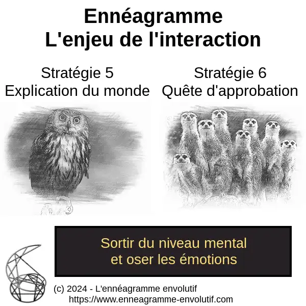 Interaction ennéagramme entre 6 et 5