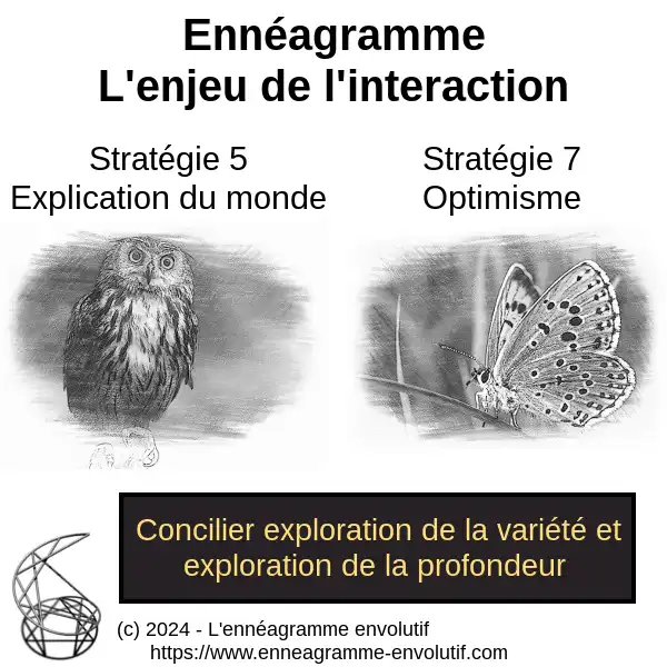 Interaction ennéagramme entre 7 et 5