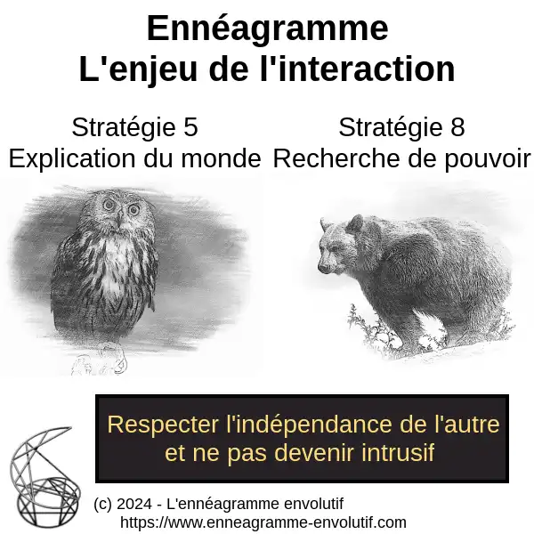 Interaction ennéagramme entre 8 et 5