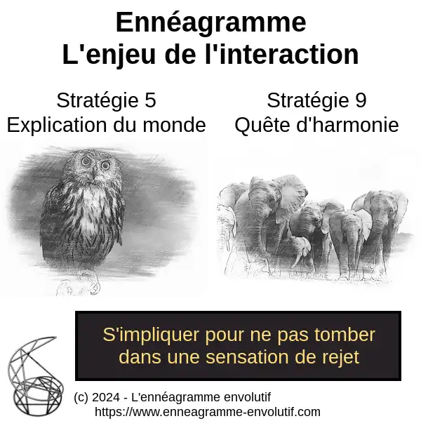 Interaction ennéagramme entre 9 et 5