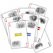 Test enneagramme gratuit