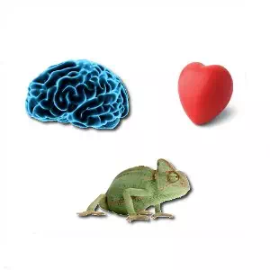 Les 3 centres de l'ennéagramme