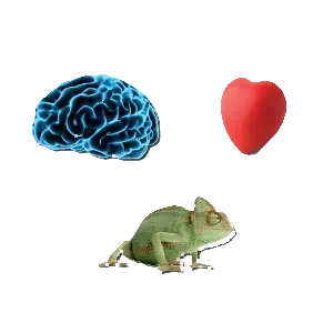 La théorie des 3 centres de l'ennéagramme