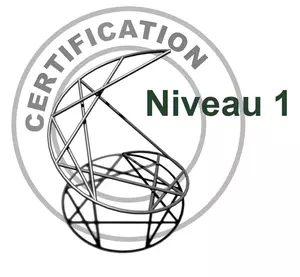 Certification ennéagramme niveau 1