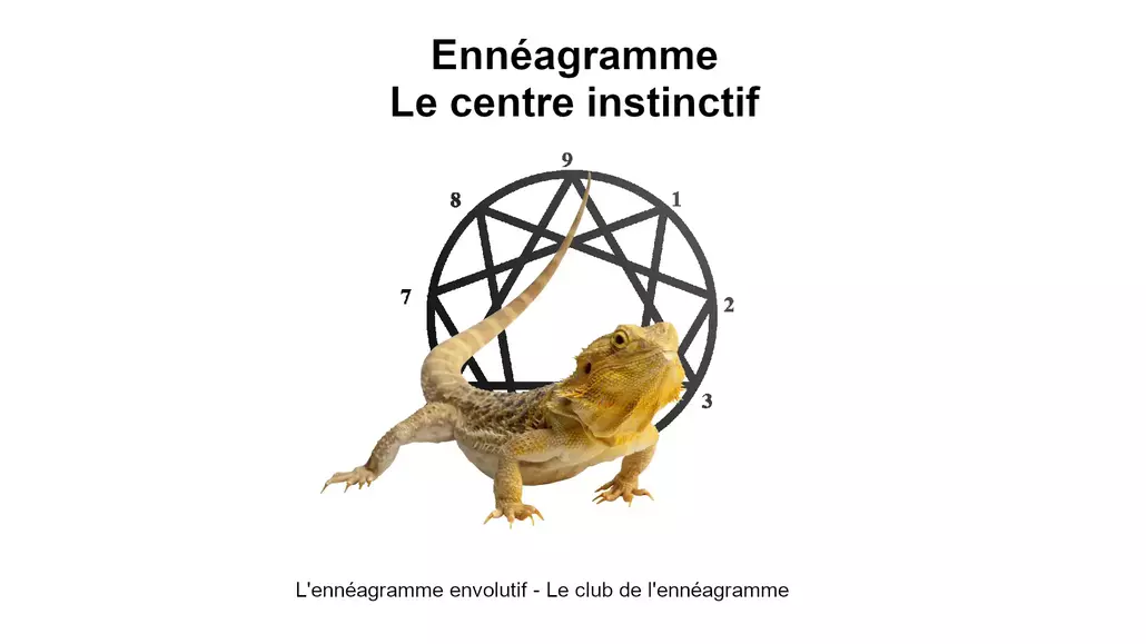 Le centre instinctif de l'ennéagramme