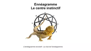 Le centre instinctif de l'ennéagramme