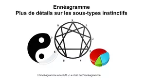 Détails sur les sous-types instinctifs