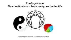Détails sur les sous-types instinctifs