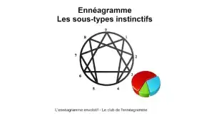Sous types instinctifs de l'ennéagramme