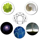 L'ennéagramme des processus