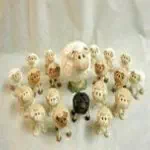 Systémie familiale et ennéagramme