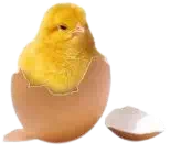 Ennéagramme et histoire d'enfance