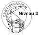 Certification ennéagramme niveau 3