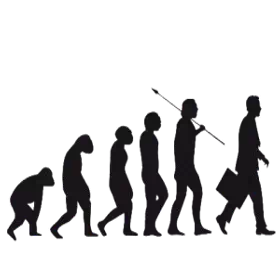 Spirale dynamique et ennéagramme